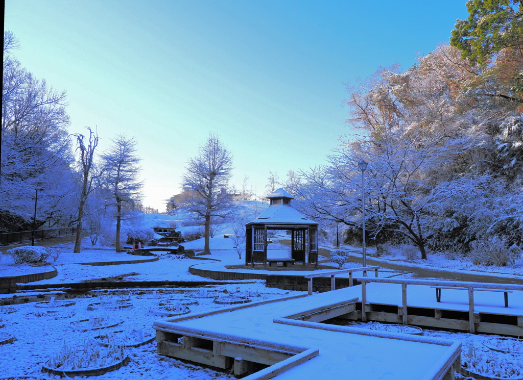 雪の朝