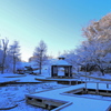 雪の朝