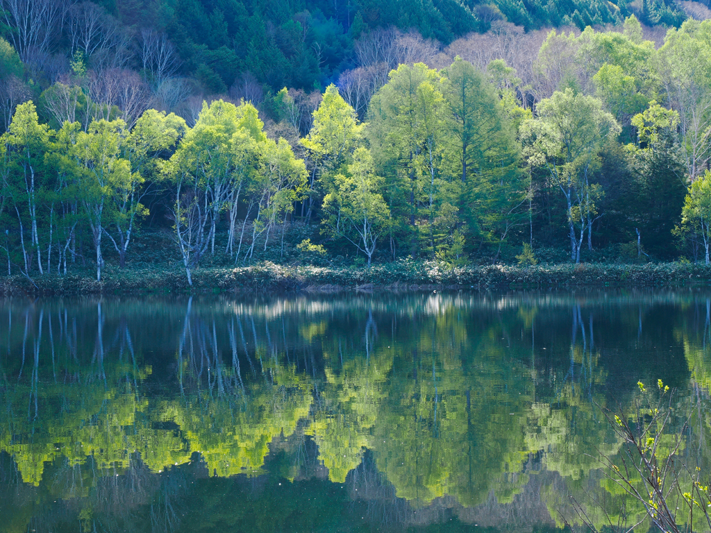 木戸池