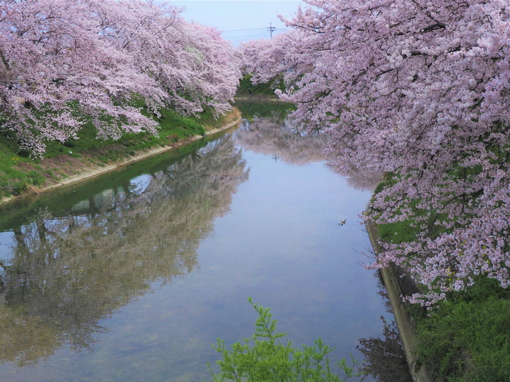 春風に乗って（３）