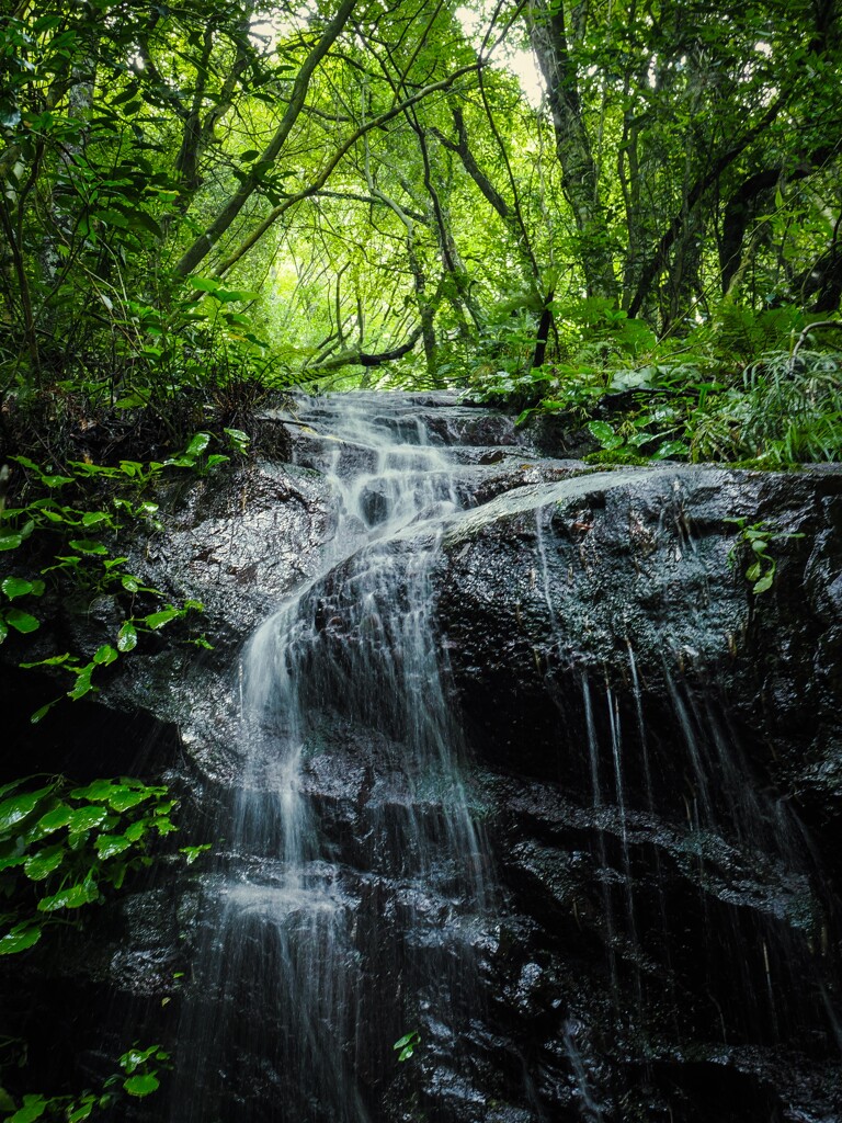 犬鳴山　滝