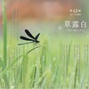 朝露の中で