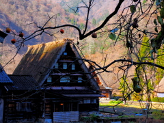 晩秋の五箇山