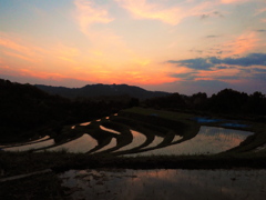 棚田夕景