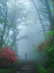 霧の葛城山　２