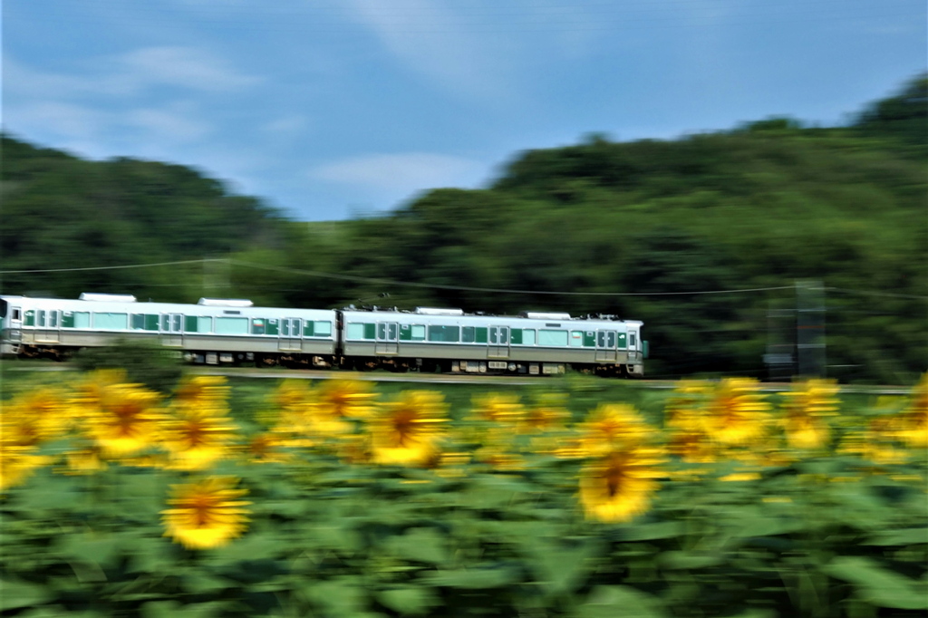 風を切って♪