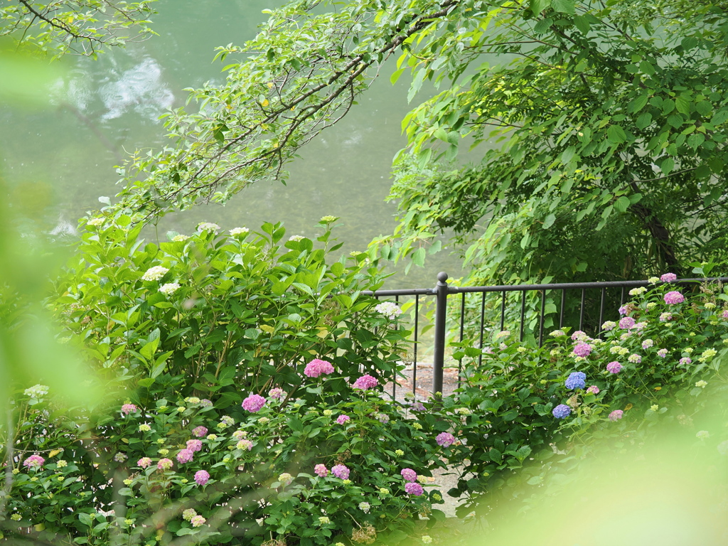 雨の日は♪　２