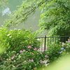 雨の日は♪　２
