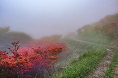 霧の葛城山　３