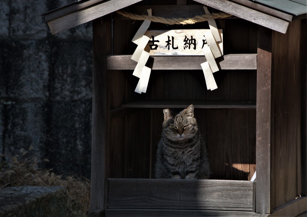 主