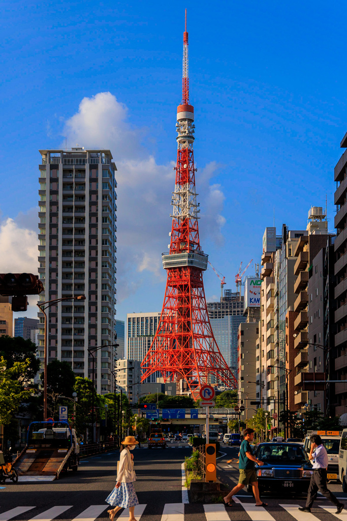 東京タワー①