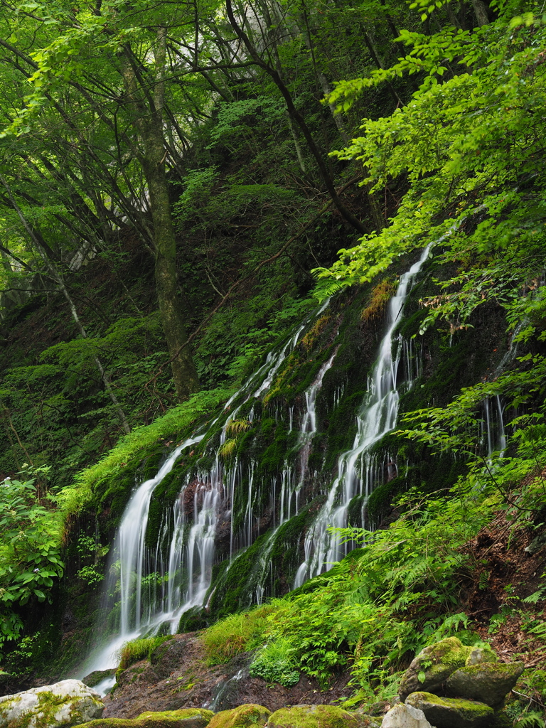 白水の滝　Ⅱ