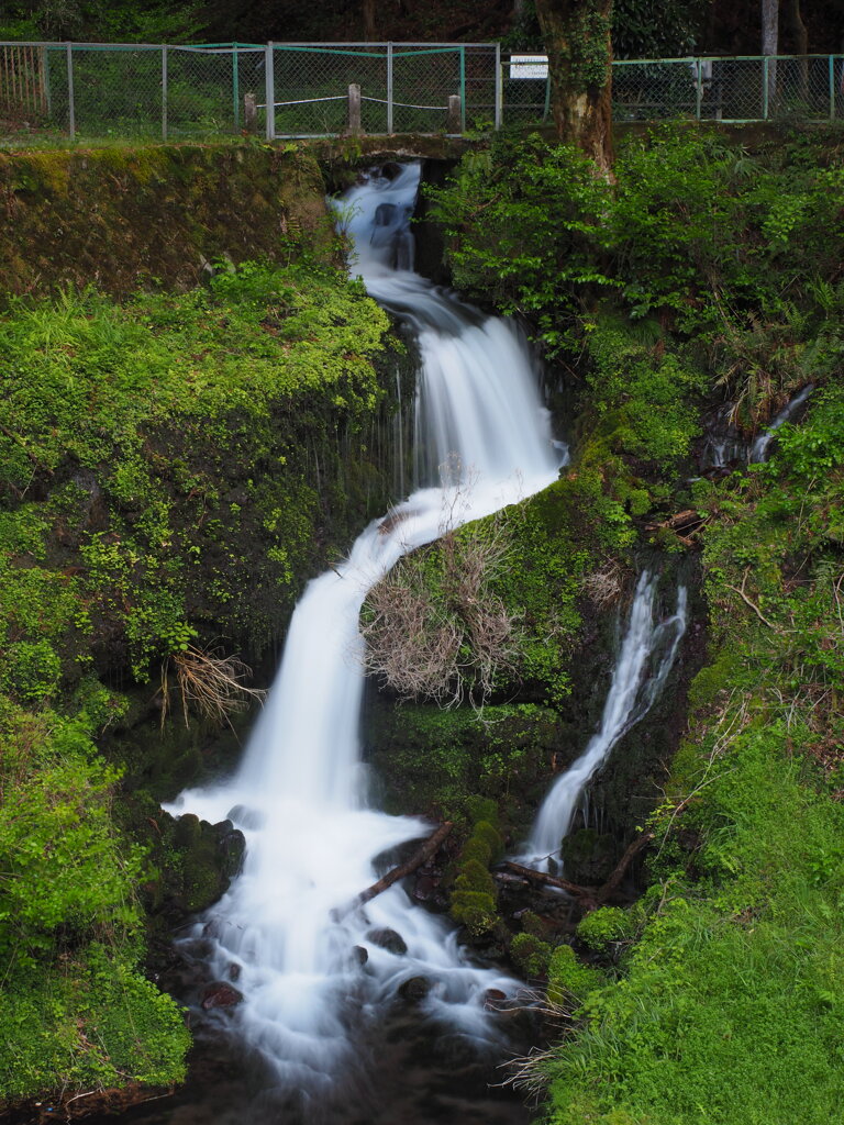 箱島湧水