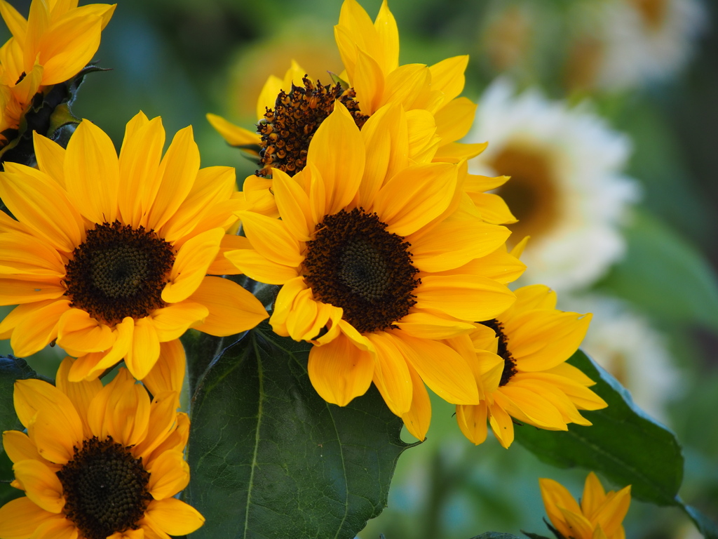 あなたはすばらしい