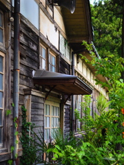 廃校の夏