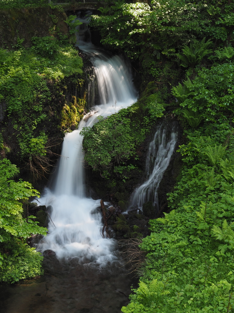 山雀の滝　初夏