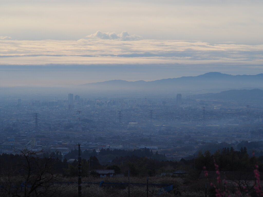 朝靄の街