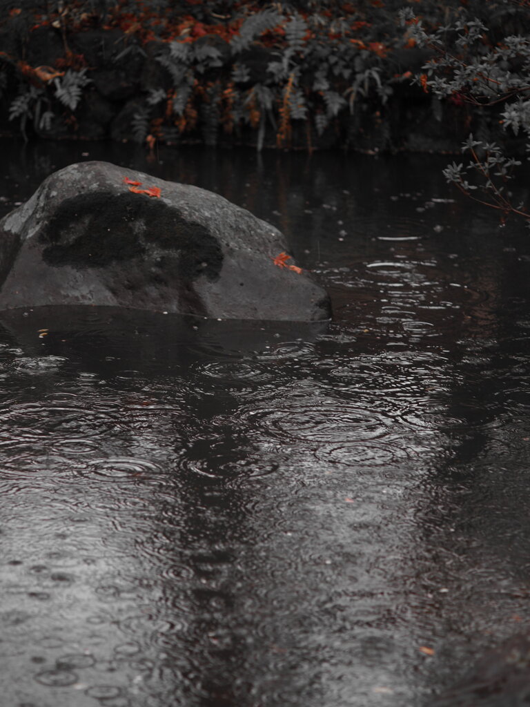 三月の雨　Ⅲ