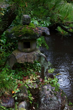 長雨　Ⅱ