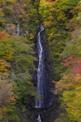 紅葉の不動の滝