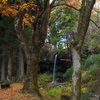 晩秋の仙ヶ滝