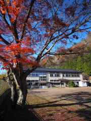紅葉の廃校