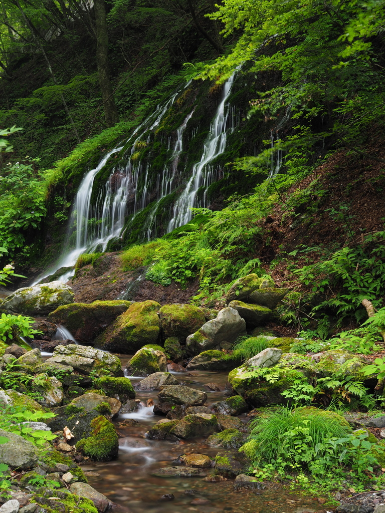 白水の滝