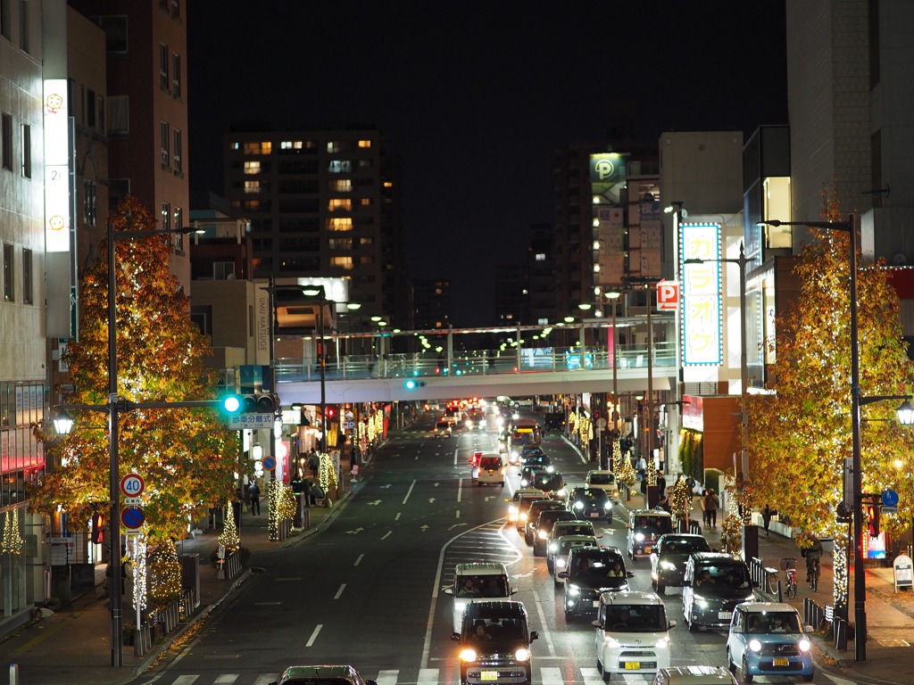 東二条通り