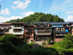 鏑川沿い