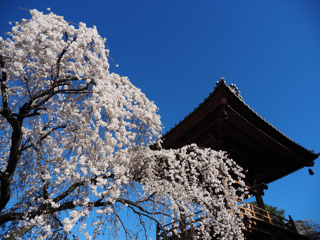 滝の慈眼寺　Ⅲ