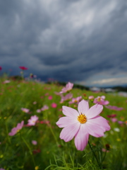 暗雲迫る
