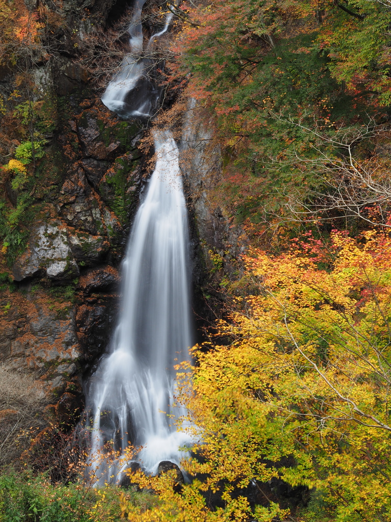 秋の大滝