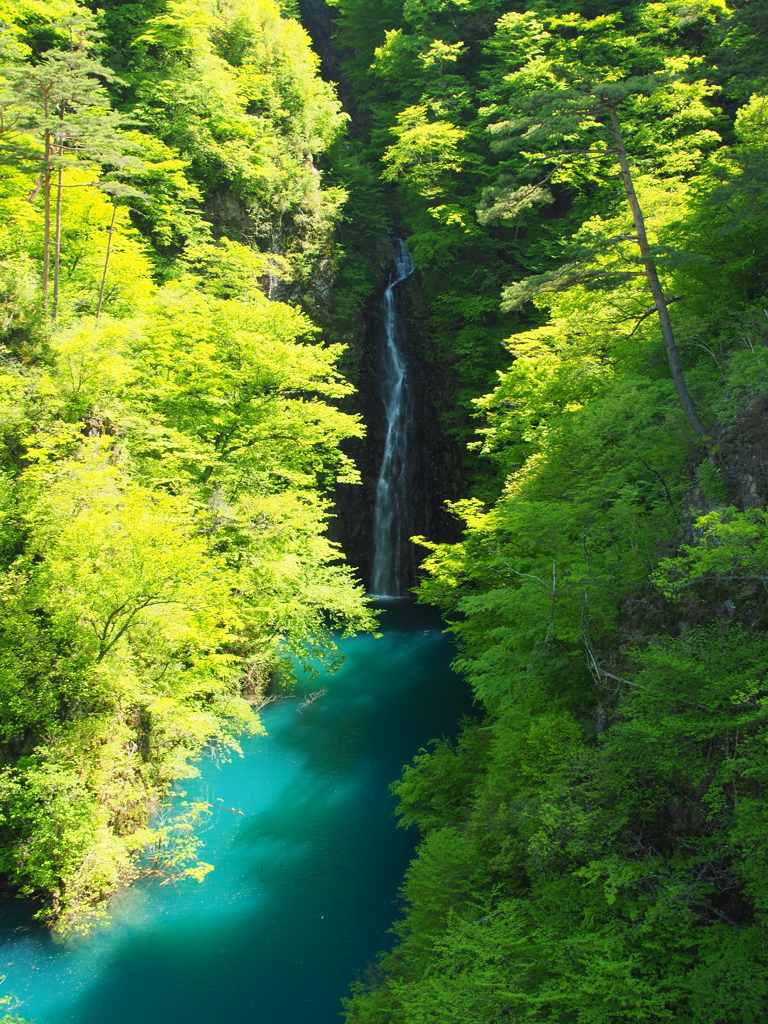 新緑の滝