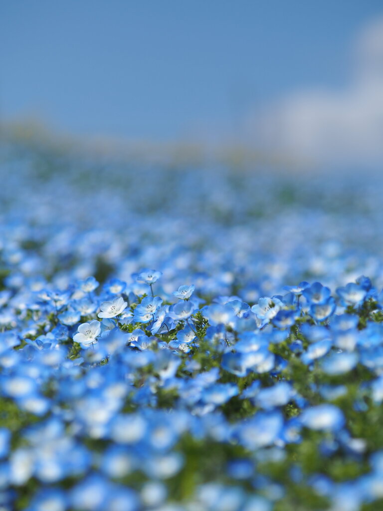 空まで水色
