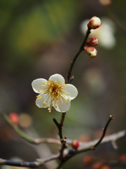 ひょっとしたら