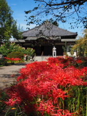 花の寺　常楽寺