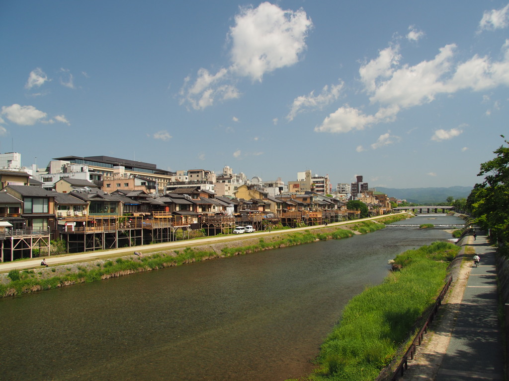 初夏の鴨川