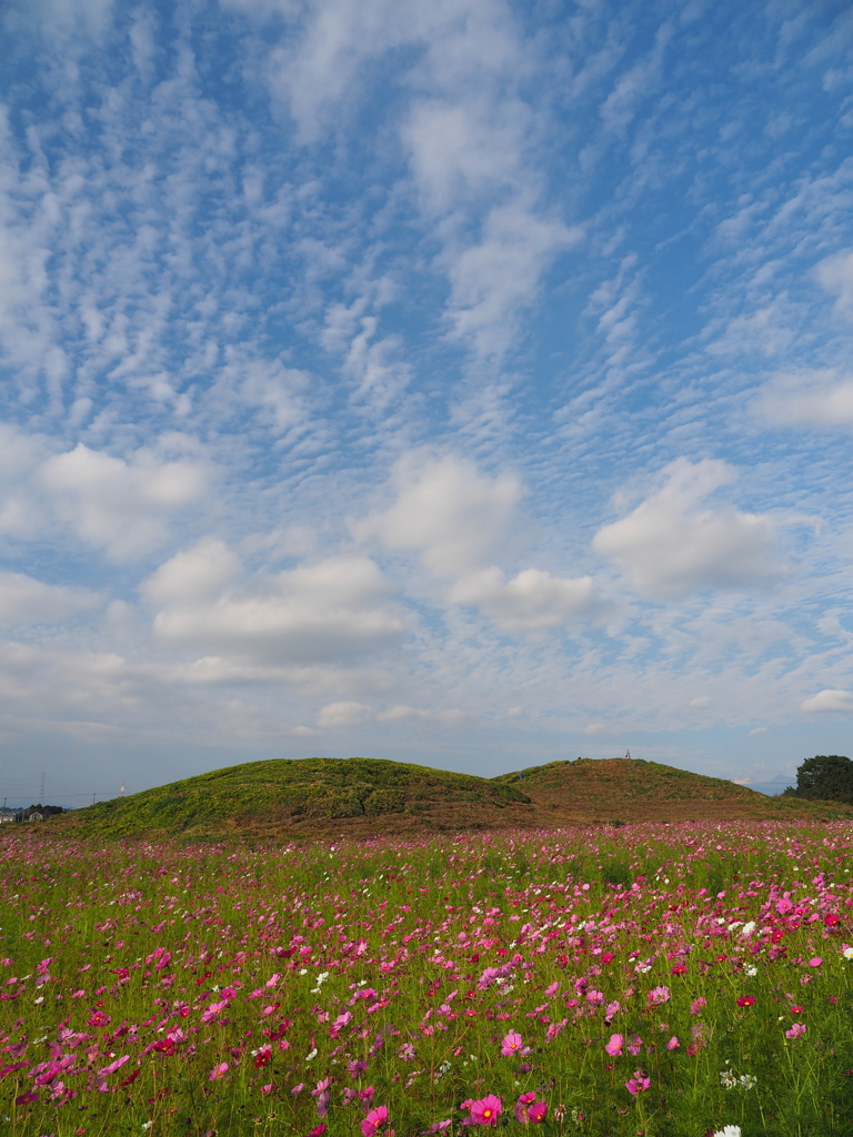 井出二子山古墳