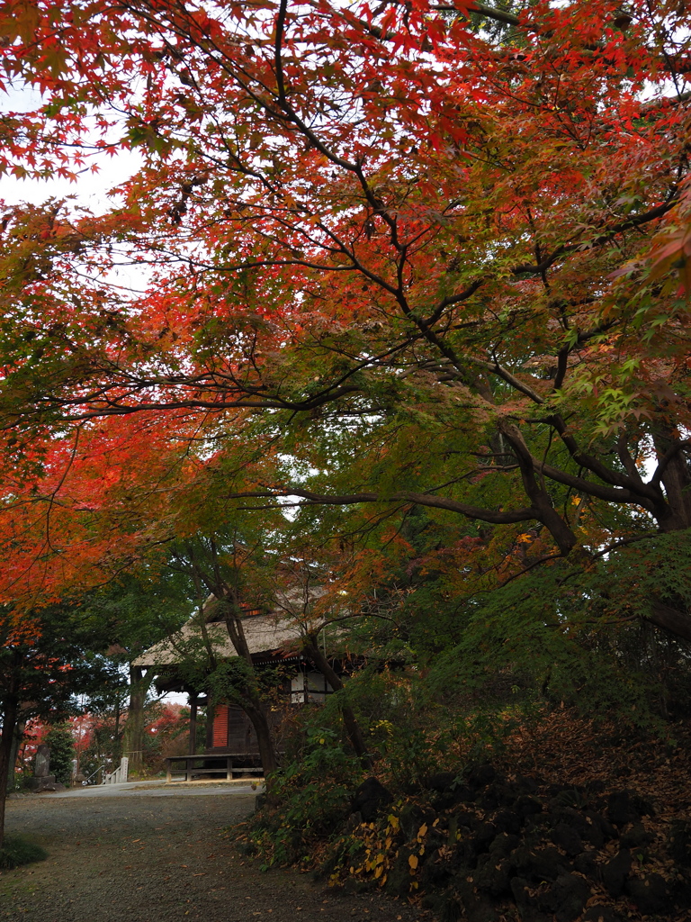 お堂脇の紅葉