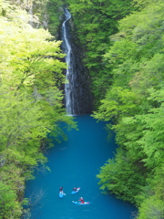 新緑の湖