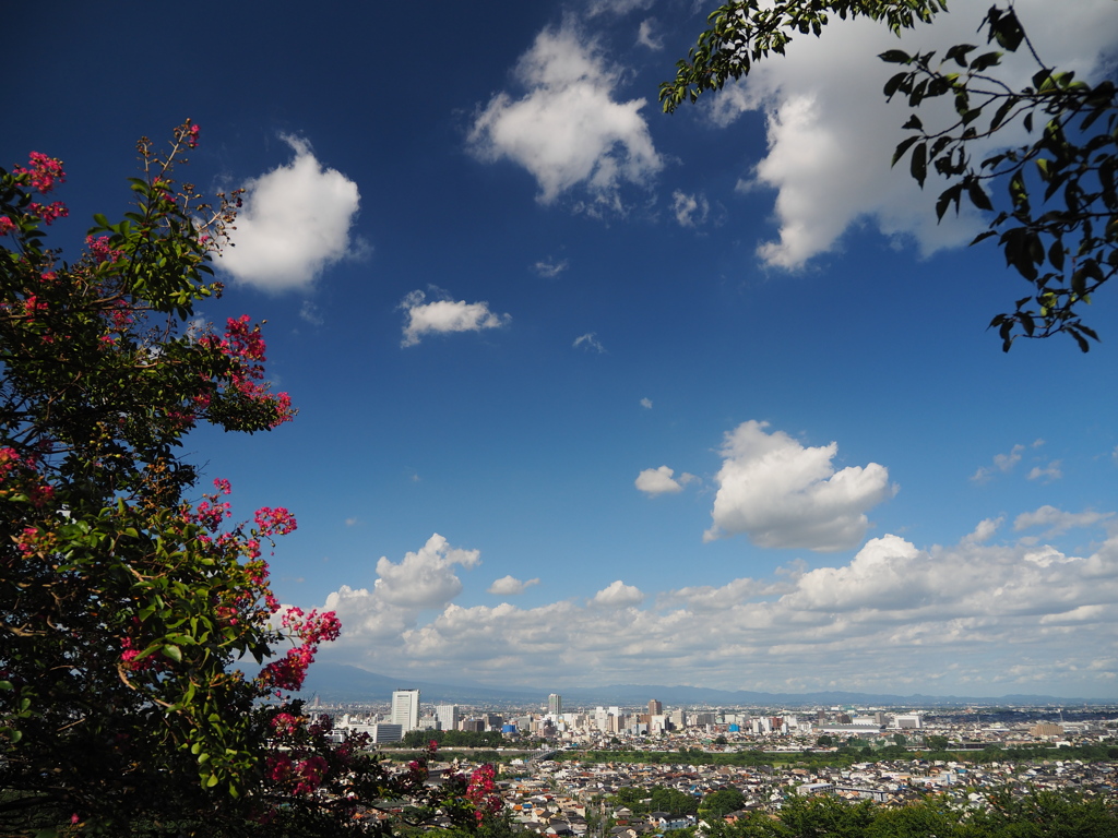 今日の空　Ⅱ