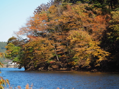 妙義湖の秋