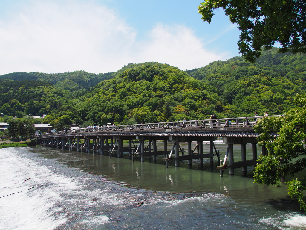 初夏の渡月橋