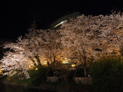 高崎城の夜桜　Ⅲ