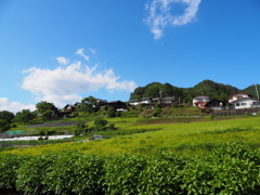 青空の赤岩集落