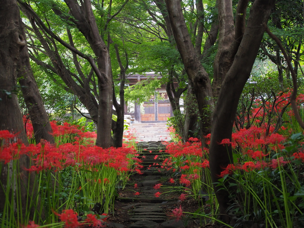 雲門寺へ