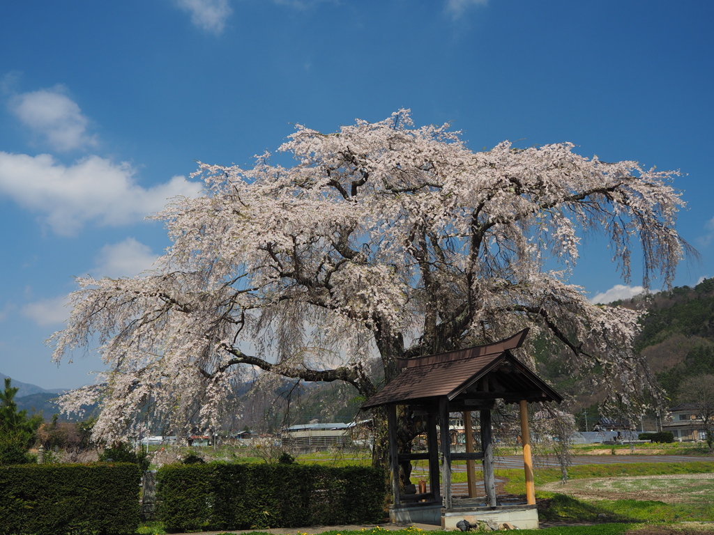 四月の景色　Ⅱ