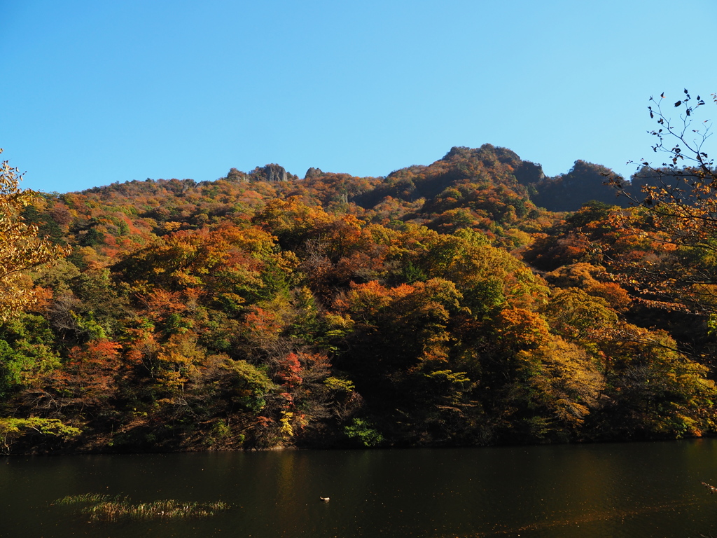 秋の妙義湖