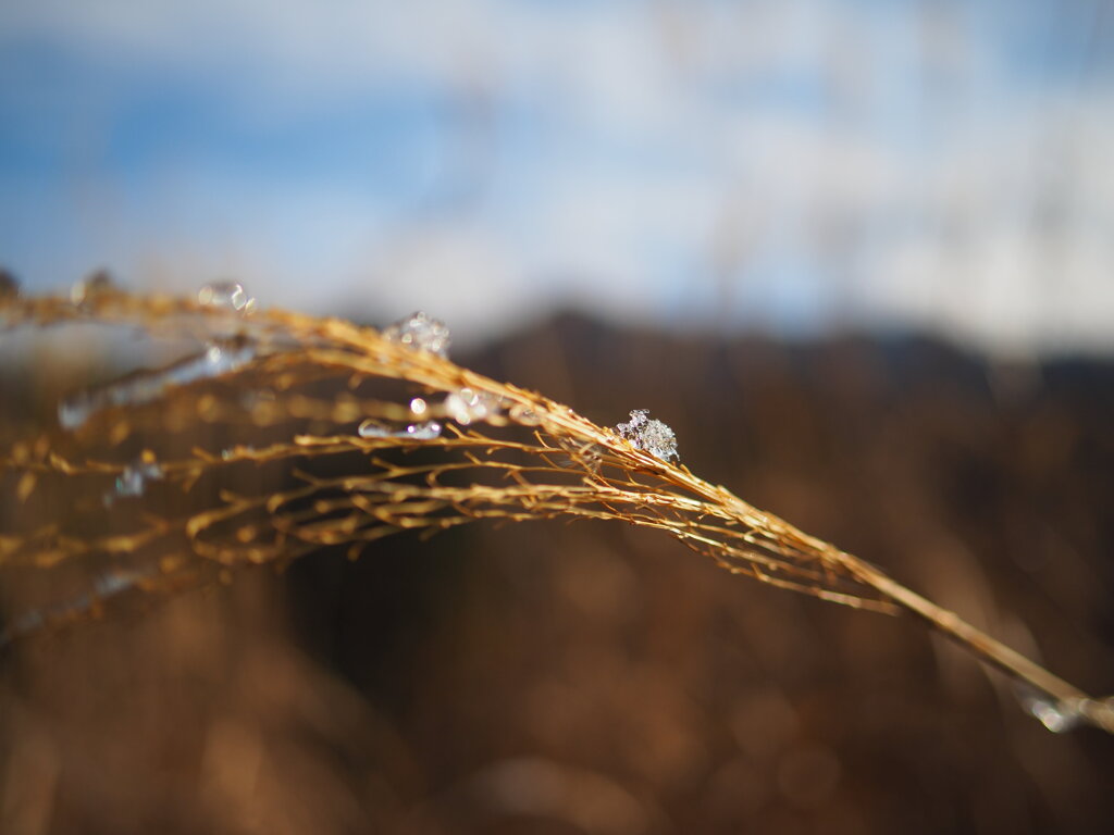 雪氷