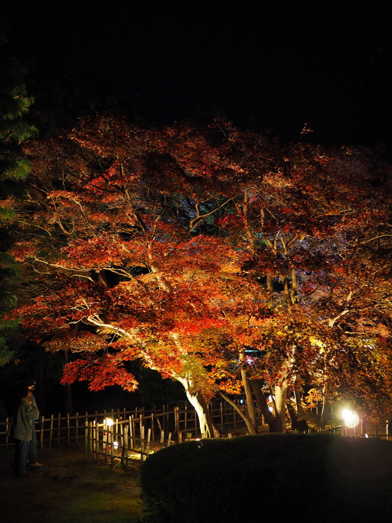 旧下田邸庭園